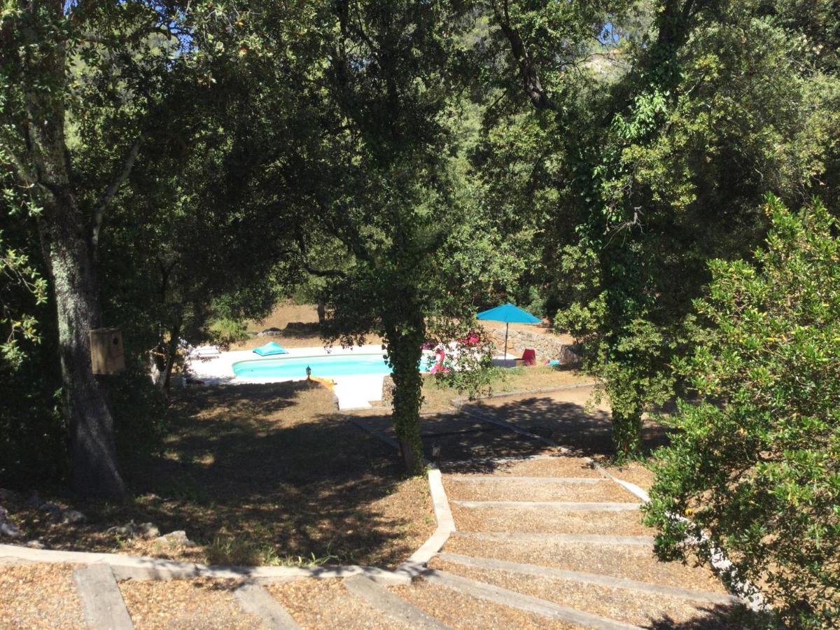 Villa Bleucassis Taradeau Kültér fotó